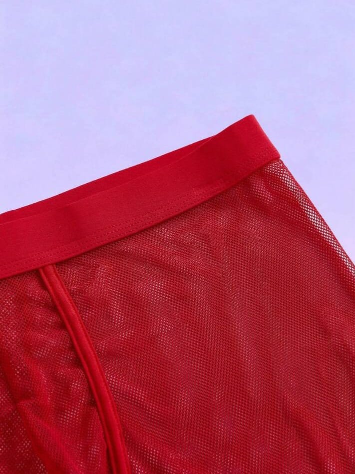 FANDY Men's Mesh Sheer Solid Color Briefs Underwear